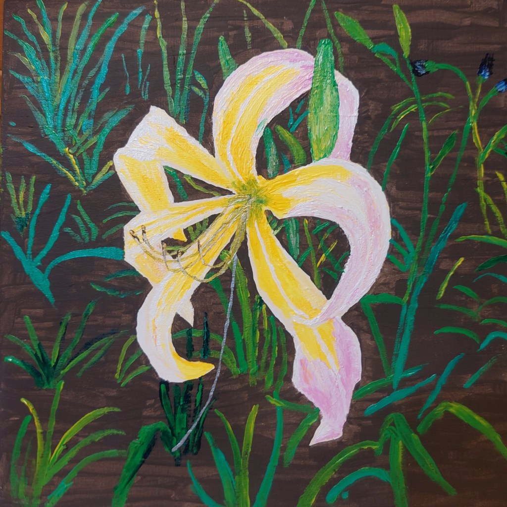 Skinwalker Daylily Painting plus Photo&nbsp;Prints