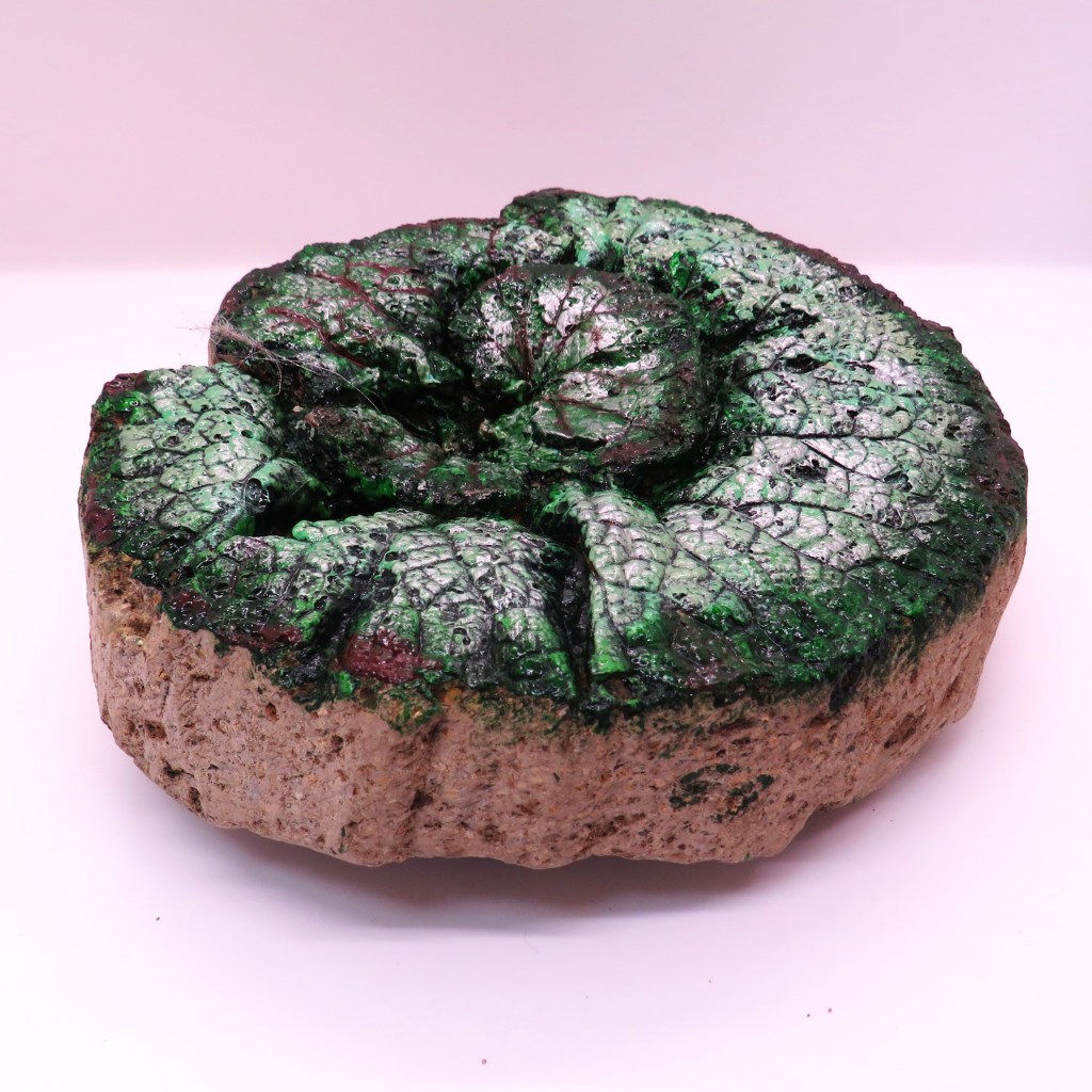 Time to Grow! Our March Sales are&nbsp;Live!